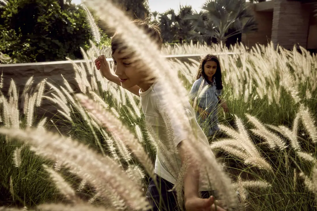 Athlon — Aldar