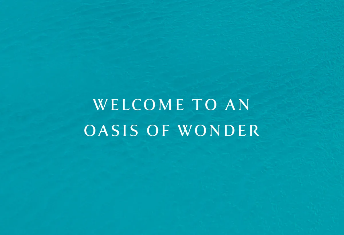 DAMAC Islands — DAMAC